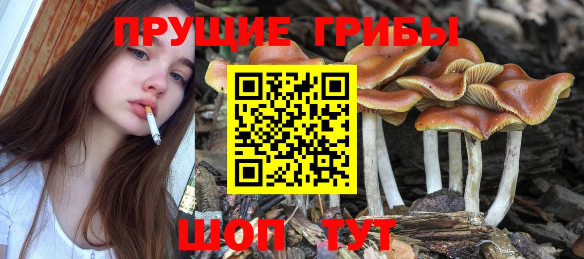 Галлюциногенные грибы Magic Shrooms Хабаровск