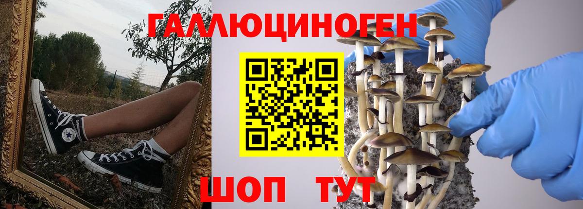 Хабаровск  Галлюциногенные грибы мицелий  Вход с VPN 